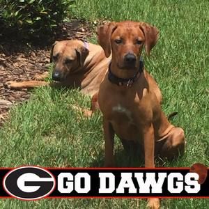 Meet your Posher, Aj